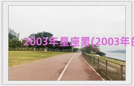 2003年星座男(2003年的星座)