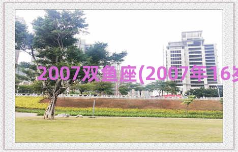 2007双鱼座(2007年16岁双鱼座)