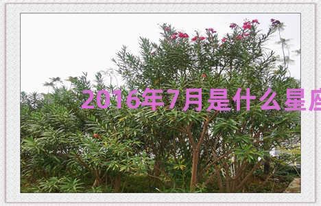 2016年7月是什么星座