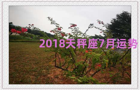 2018天秤座7月运势