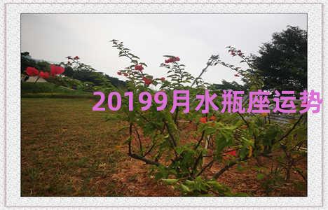 20199月水瓶座运势