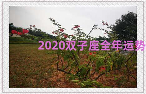 2020双子座全年运势