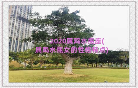 2020属鸡水瓶座(属鸡水瓶女的性格特点)