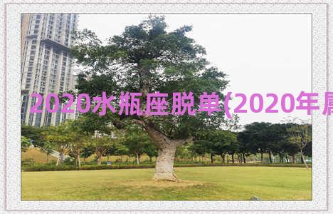 2020水瓶座脱单(2020年属猴水瓶座)