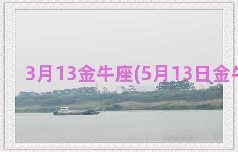 3月13金牛座(5月13日金牛座性格)