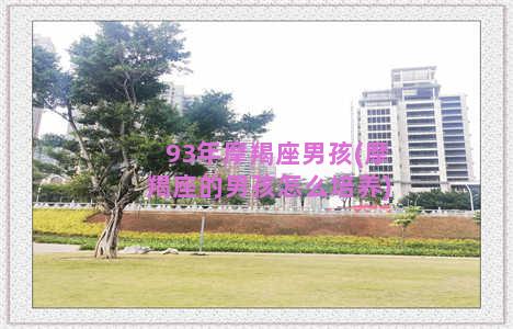 93年摩羯座男孩(摩羯座的男孩怎么培养)