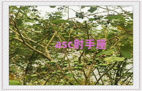 asc射手座