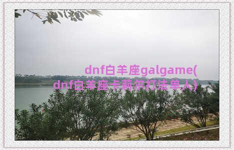 dnf白羊座galgame(dnf白羊座卡莉尔打法单人)