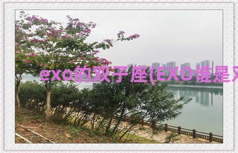 exo的双子座(EXO谁是双子座)