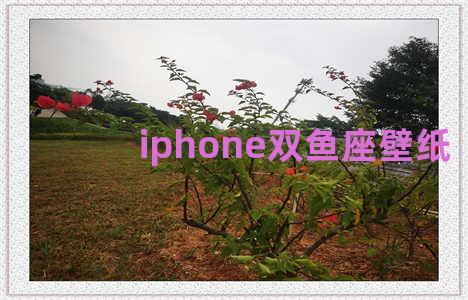 iphone双鱼座壁纸