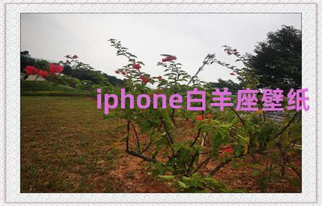 iphone白羊座壁纸