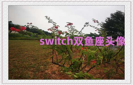 switch双鱼座头像