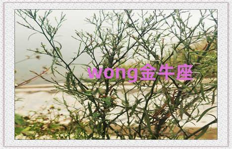 wong金牛座