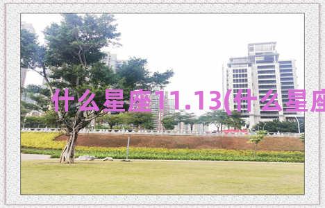 什么星座11.13(什么星座11.10)