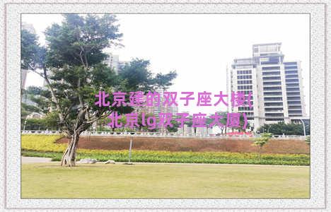 北京建的双子座大楼(北京lg双子座大厦)