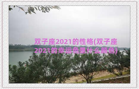 双子座2021的性格(双子座2021的幸运色是什么颜色)