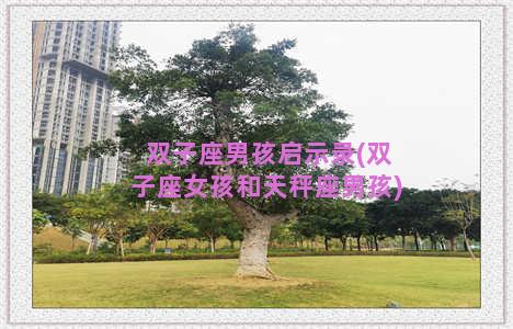 双子座男孩启示录(双子座女孩和天秤座男孩)