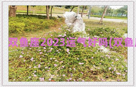 双鱼座2023运气好吗(双鱼座2023运势)