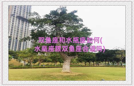 双鱼座和水瓶座如何(水瓶座跟双鱼座合适吗)