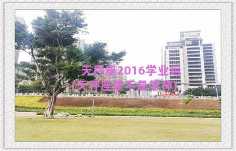 天秤座2016学业运(天秤座是不是学神)