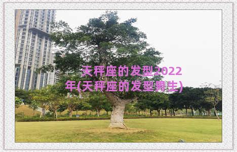 天秤座的发型2022年(天秤座的发型男生)