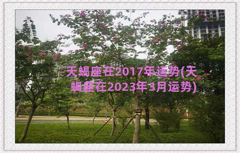 天蝎座在2017年运势(天蝎座在2023年3月运势)