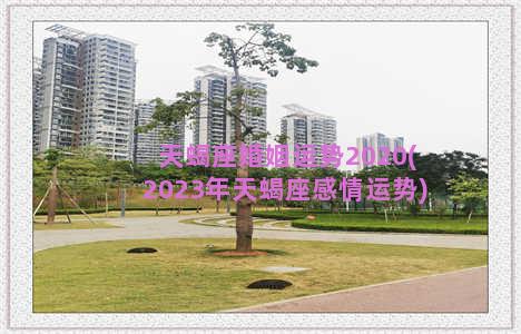 天蝎座婚姻运势2020(2023年天蝎座感情运势)