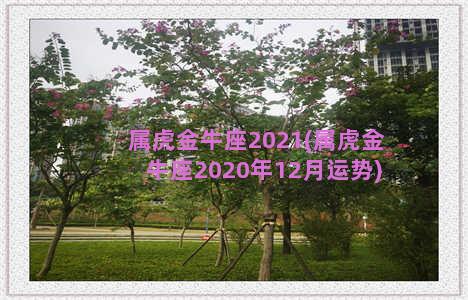 属虎金牛座2021(属虎金牛座2020年12月运势)