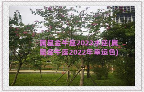 属鼠金牛座2022水逆(属鼠金牛座2022年幸运色)