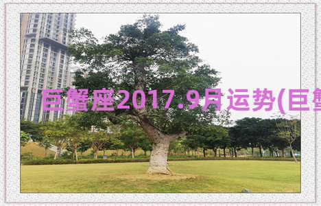 巨蟹座2017.9月运势(巨蟹座2013)