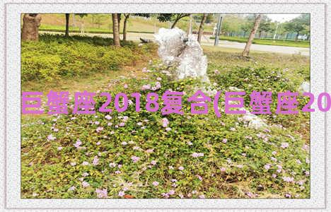 巨蟹座2018复合(巨蟹座2018年正挑花)