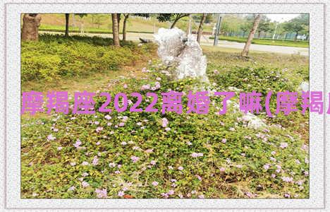 摩羯座2022离婚了嘛(摩羯座2022离婚)