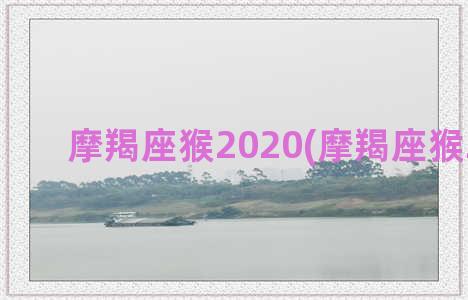 摩羯座猴2020(摩羯座猴2022年)