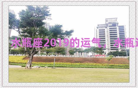 水瓶座2019的运气，水瓶运势2019年