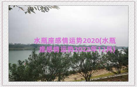 水瓶座感情运势2020(水瓶座感情运势2022年12月)