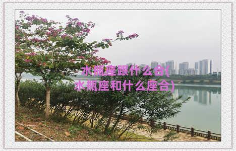 水瓶座跟什么合(水瓶座和什么座合)