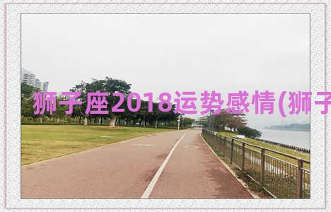 狮子座2018运势感情(狮子座年运)