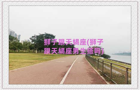 狮子跟天蝎座(狮子跟天蝎座男生搭吗)