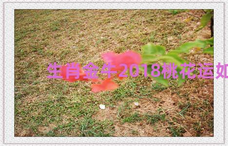 生肖金牛2018桃花运如何