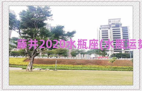 藤井2020水瓶座(水瓶运势2020年)