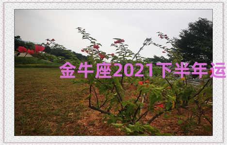 金牛座2021下半年运