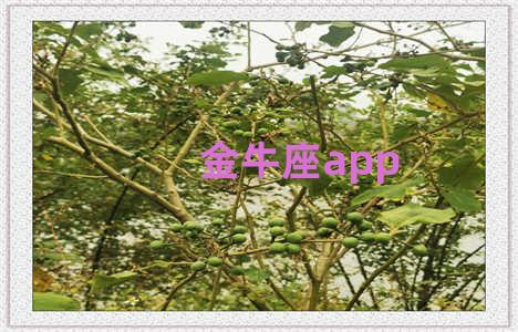 金牛座app